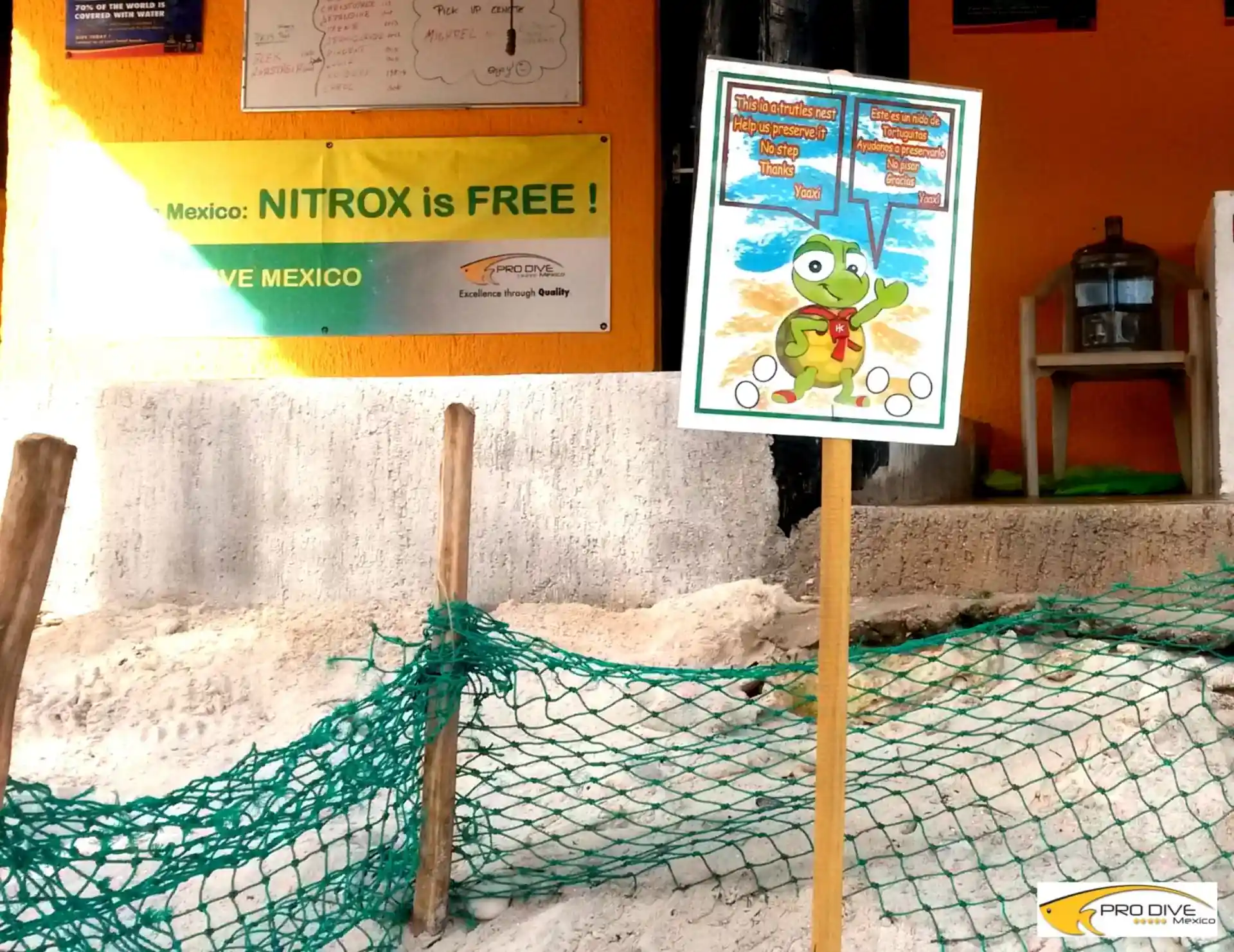Pro Dive International Catalonia Riviera Maya 4